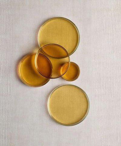 Preservatives, What You Need to Know