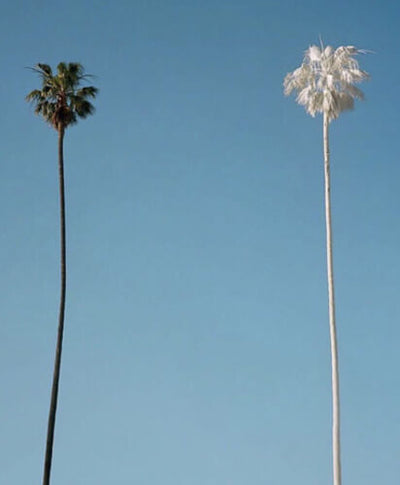 Clean Skincare with Purpose