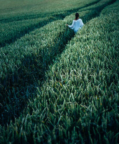 A Walk into Wellness