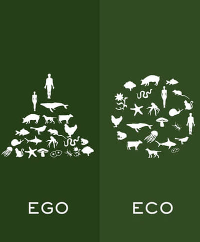 What Blooms in June: Consciousness and Clarity