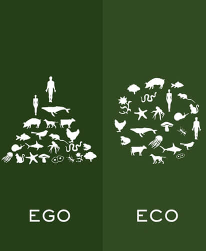 What Blooms in June: Consciousness and Clarity