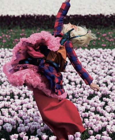 The Beauty of Happiness