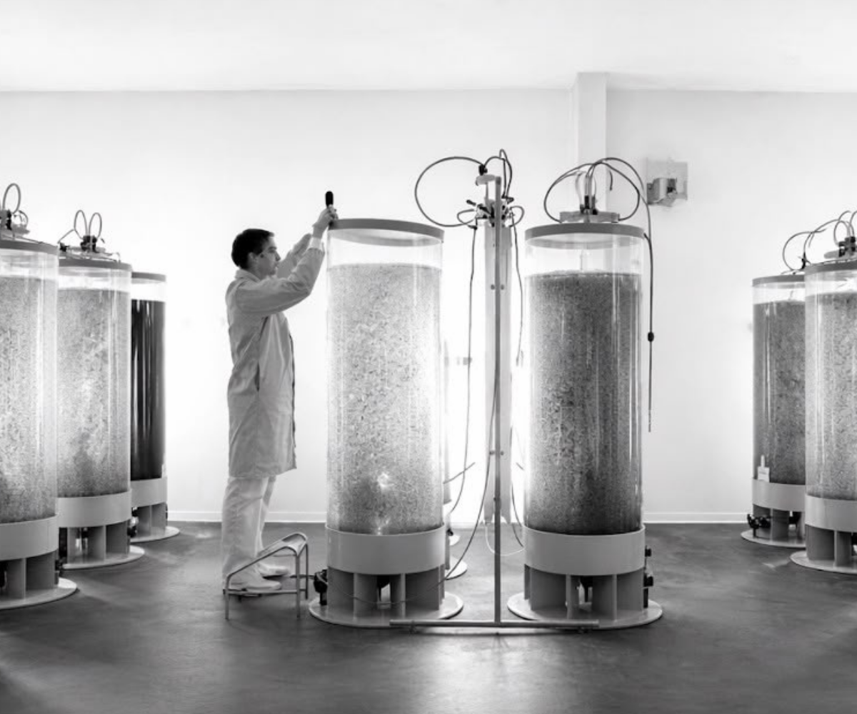We were born biotech